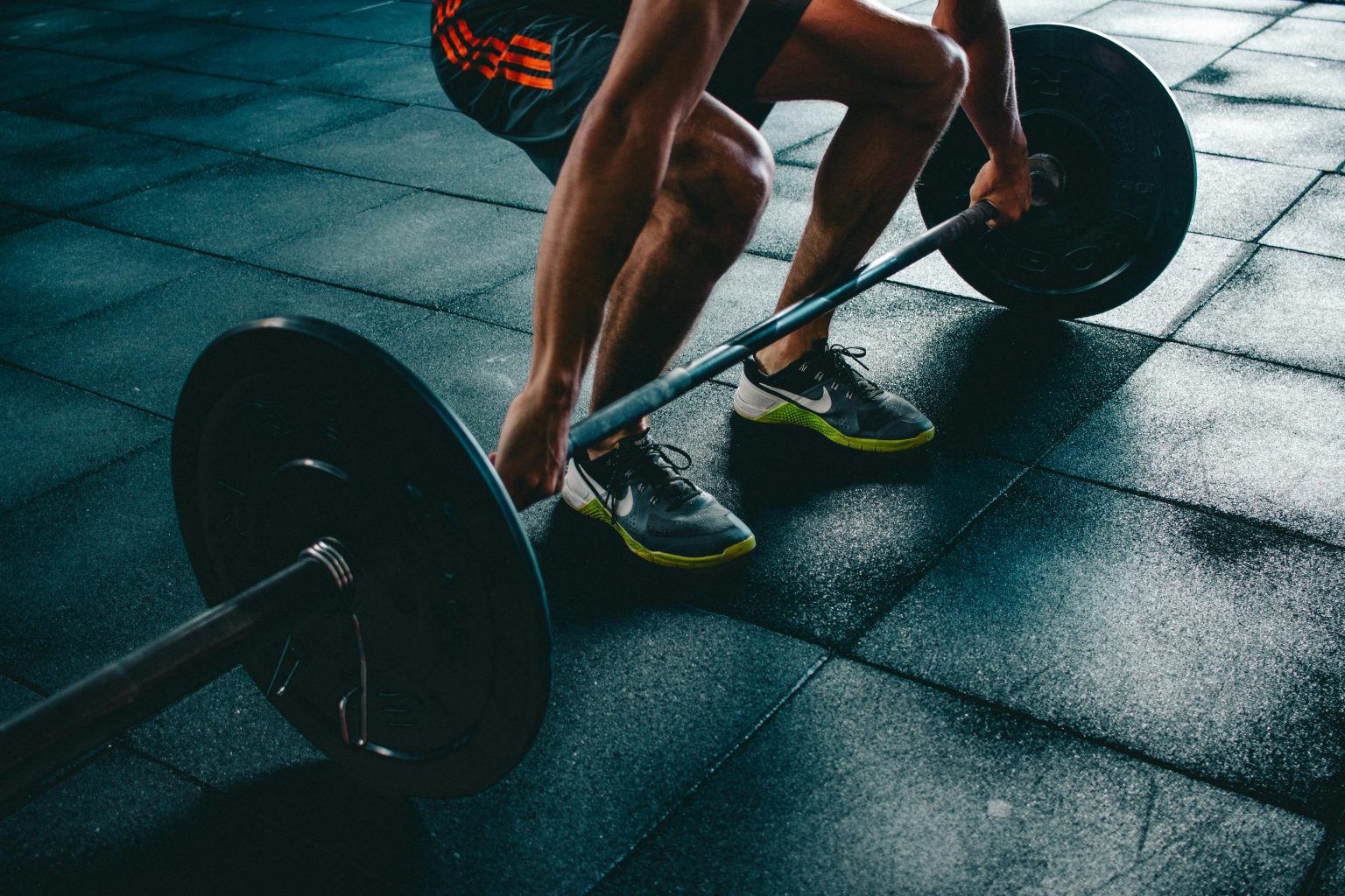 Explore how building muscle supports strength, health, and long-term wellness